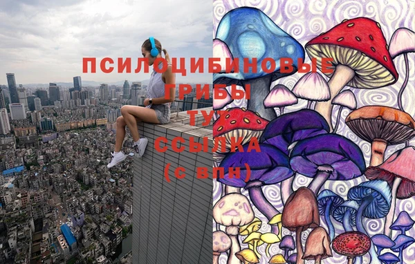 ПСИЛОЦИБИНОВЫЕ ГРИБЫ Верея