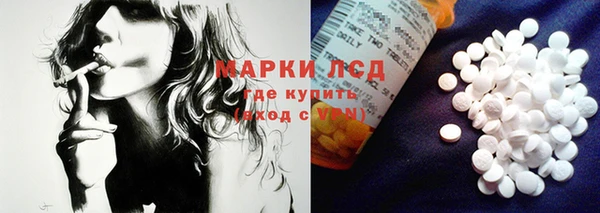 ПСИЛОЦИБИНОВЫЕ ГРИБЫ Верея