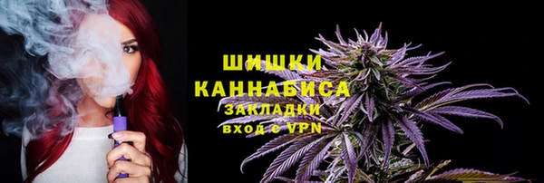 ПСИЛОЦИБИНОВЫЕ ГРИБЫ Верея