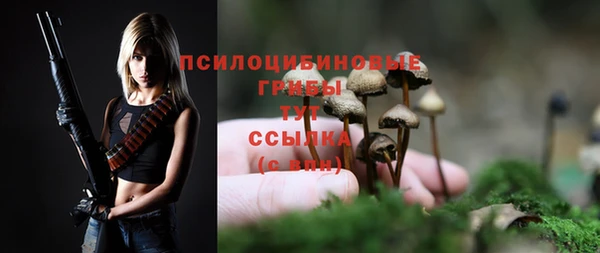 spice Верхний Тагил