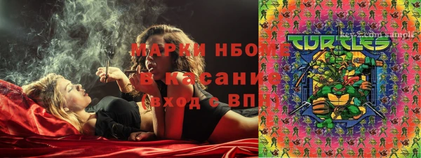 ПСИЛОЦИБИНОВЫЕ ГРИБЫ Верея