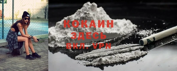 ПСИЛОЦИБИНОВЫЕ ГРИБЫ Верея