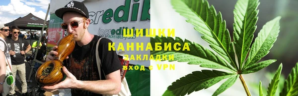 ПСИЛОЦИБИНОВЫЕ ГРИБЫ Верея